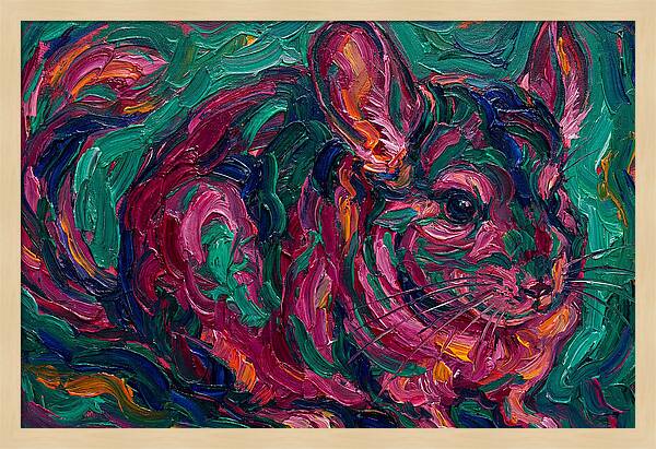 Chinchilla In Vibrant Colors
