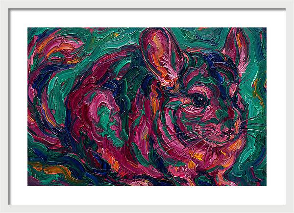 Chinchilla In Vibrant Colors