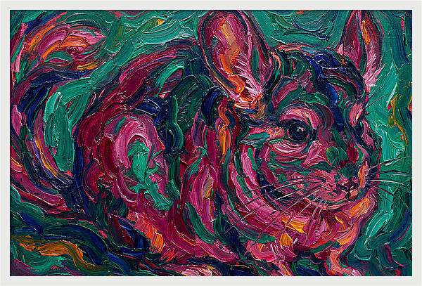 Chinchilla In Vibrant Colors