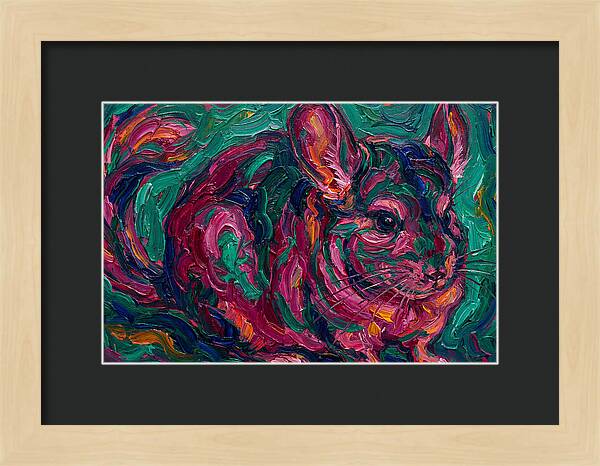 Chinchilla In Vibrant Colors