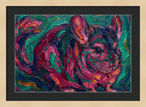 Chinchilla In Vibrant Colors
