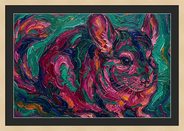 Chinchilla In Vibrant Colors