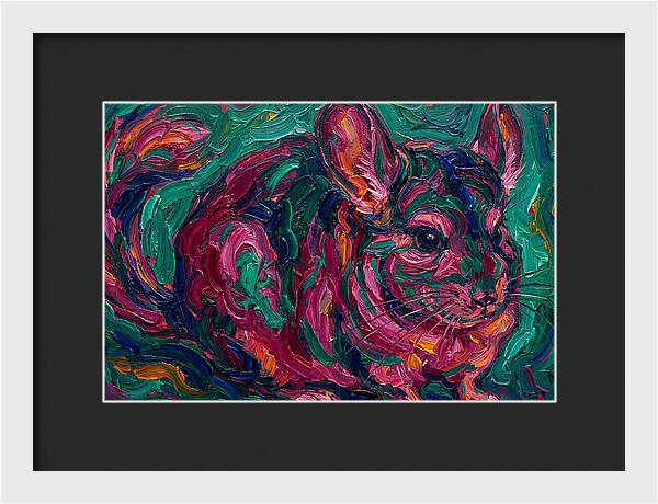 Chinchilla In Vibrant Colors