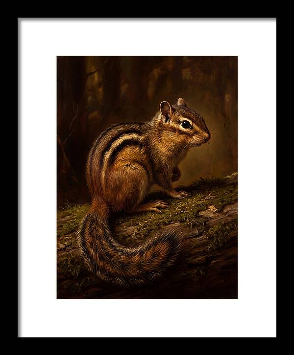 Chipmunk In The Forest
