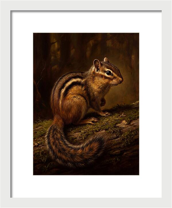 Chipmunk In The Forest
