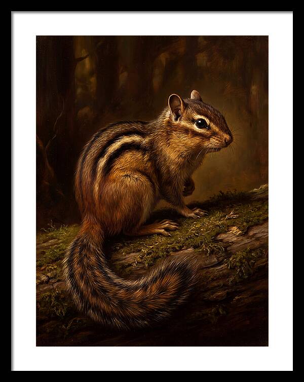 Chipmunk In The Forest