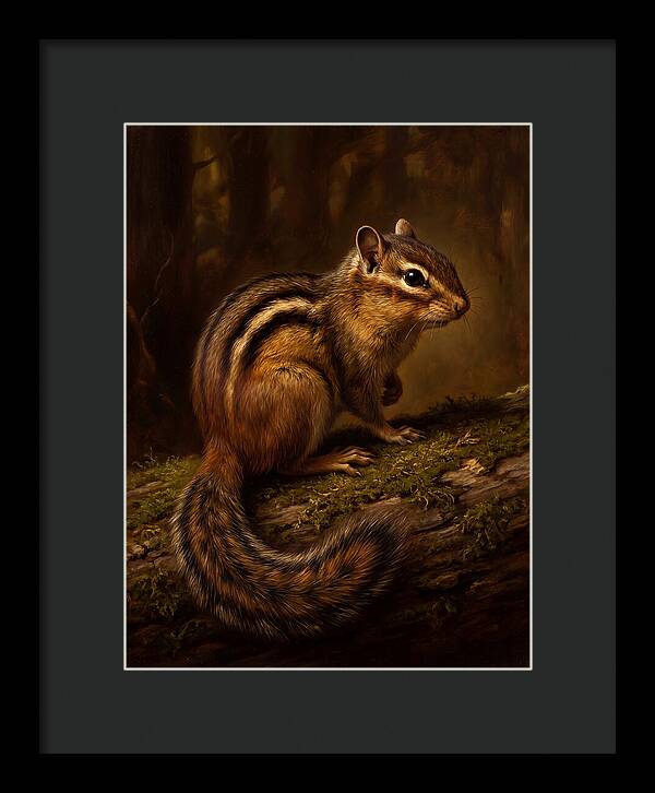 Chipmunk In The Forest