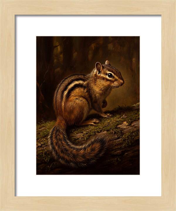 Chipmunk In The Forest