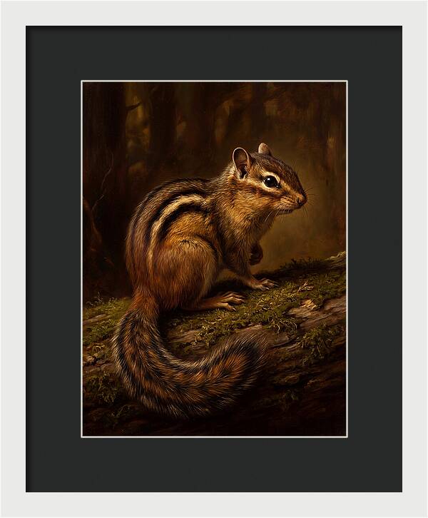 Chipmunk In The Forest
