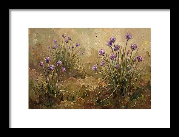 Chive Blossoms In Bloom