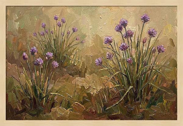 Chive Blossoms In Bloom
