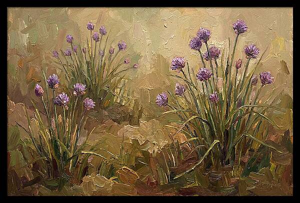 Chive Blossoms In Bloom