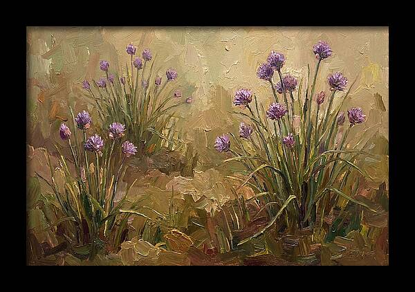 Chive Blossoms In Bloom