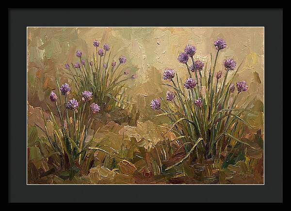 Chive Blossoms In Bloom