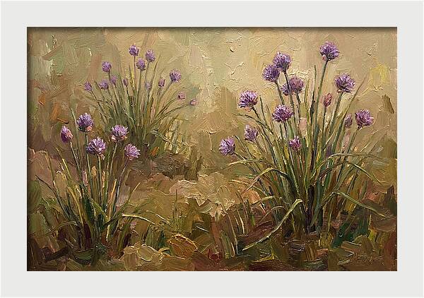 Chive Blossoms In Bloom
