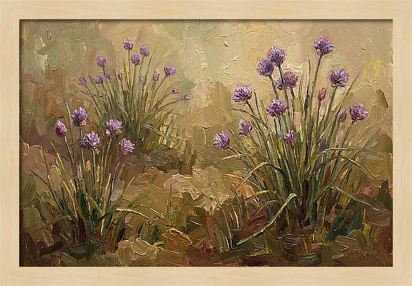 Chive Blossoms In Bloom
