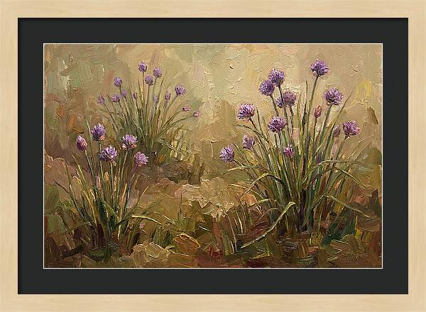 Chive Blossoms In Bloom