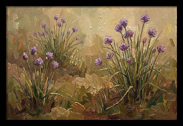 Chive Blossoms In Bloom