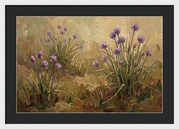 Chive Blossoms In Bloom