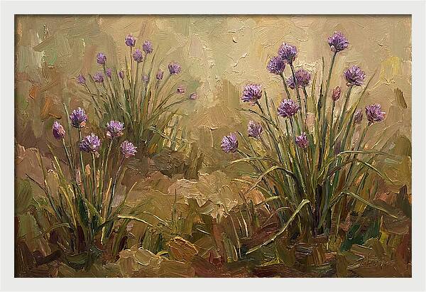 Chive Blossoms In Bloom
