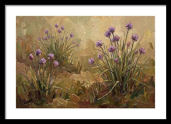 Chive Blossoms In Bloom
