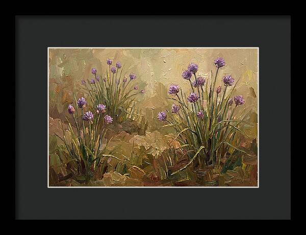 Chive Blossoms In Bloom