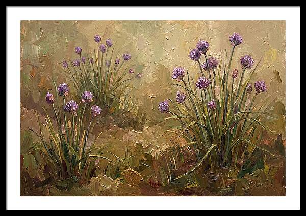 Chive Blossoms In Bloom