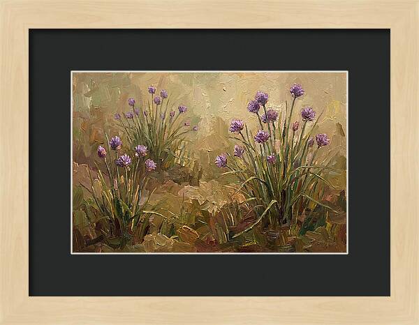 Chive Blossoms In Bloom