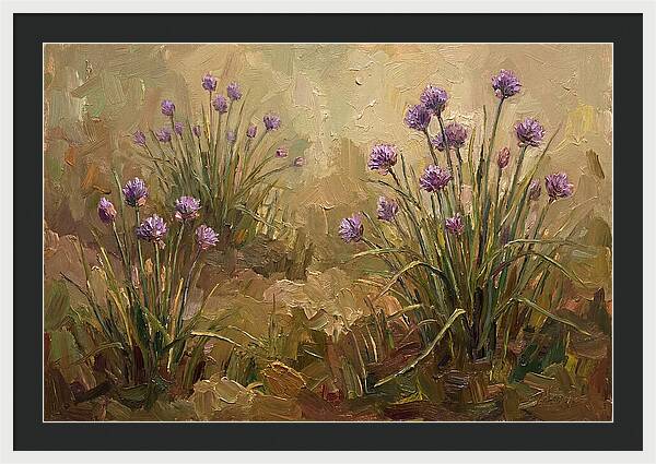 Chive Blossoms In Bloom