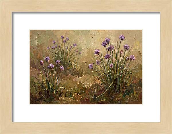 Chive Blossoms In Bloom