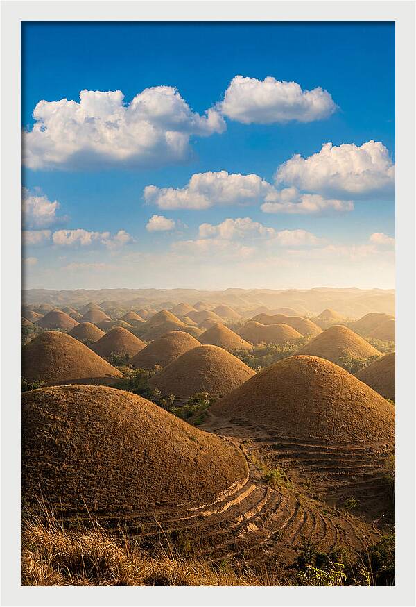 Chocolate Hills At Golden Hour