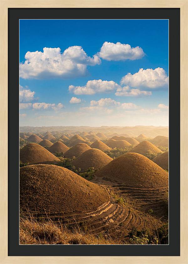 Chocolate Hills At Golden Hour