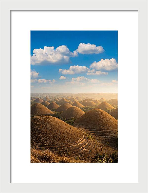 Chocolate Hills At Golden Hour
