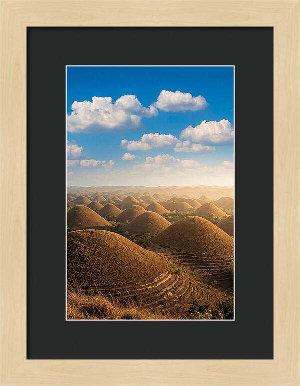 Chocolate Hills At Golden Hour