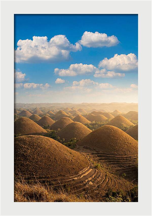 Chocolate Hills At Golden Hour