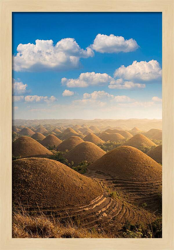 Chocolate Hills At Golden Hour