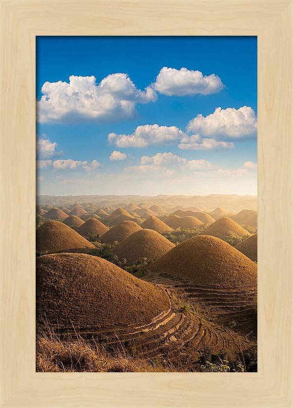 Chocolate Hills At Golden Hour