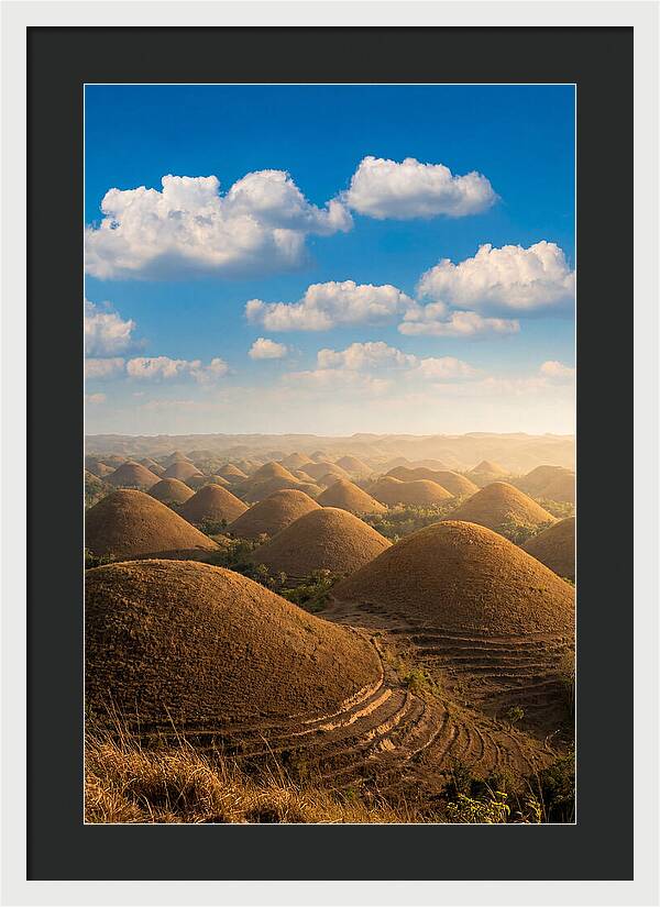 Chocolate Hills At Golden Hour