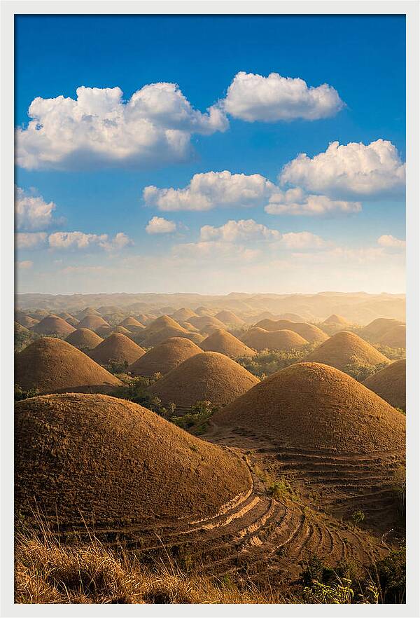 Chocolate Hills At Golden Hour