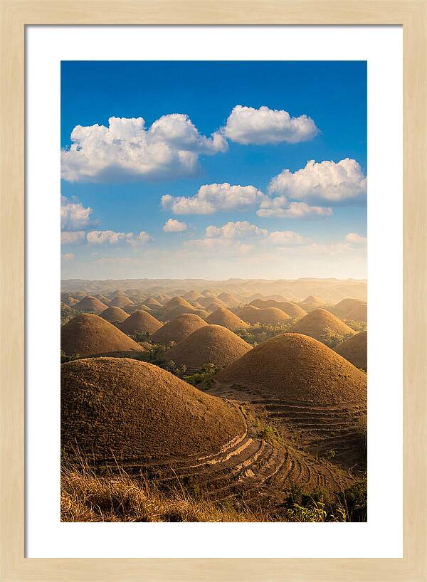 Chocolate Hills At Golden Hour