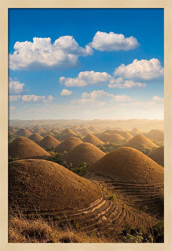 Chocolate Hills At Golden Hour