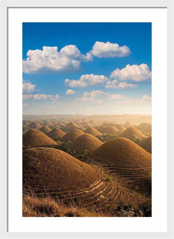 Chocolate Hills At Golden Hour