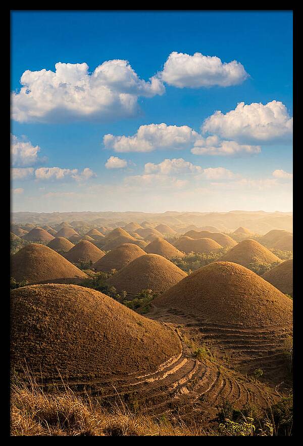 Chocolate Hills At Golden Hour