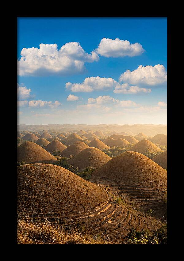 Chocolate Hills At Golden Hour