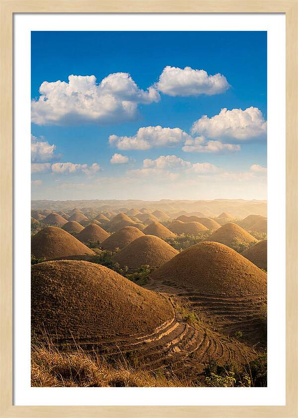 Chocolate Hills At Golden Hour
