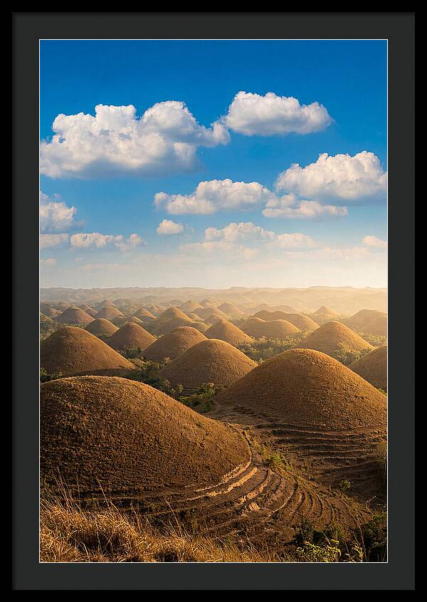 Chocolate Hills At Golden Hour