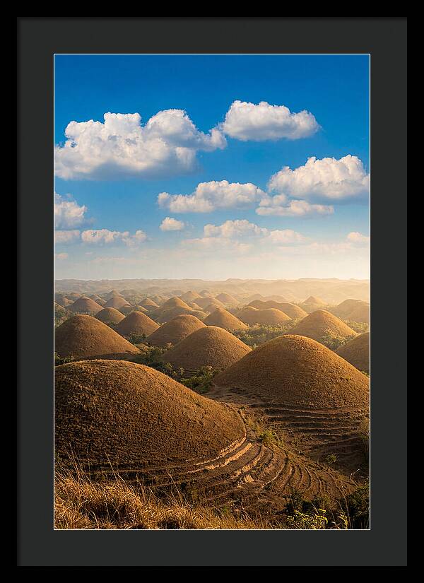 Chocolate Hills At Golden Hour