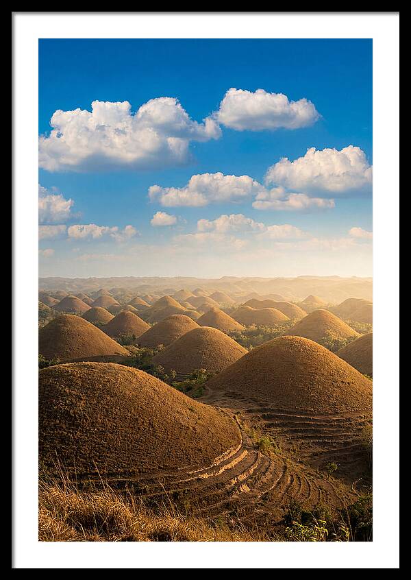 Chocolate Hills At Golden Hour