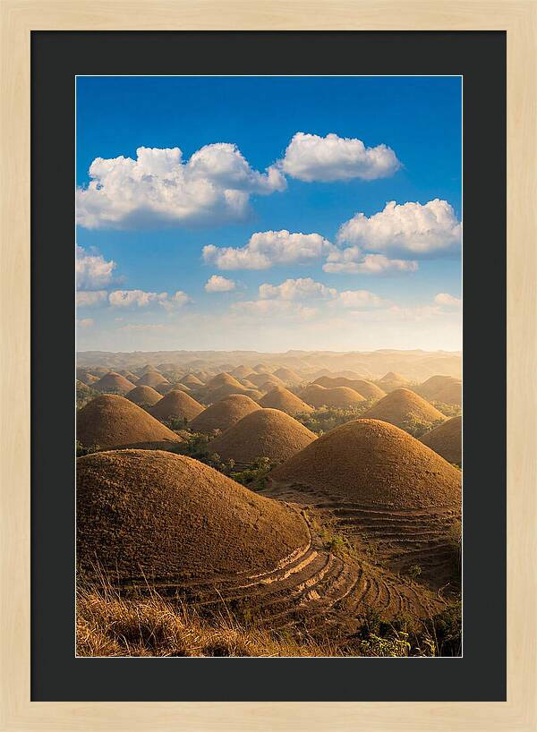 Chocolate Hills At Golden Hour