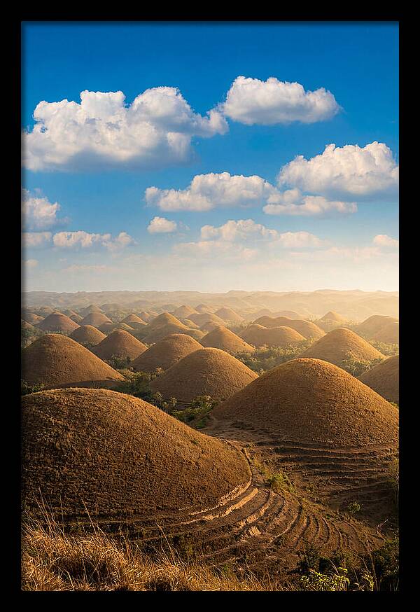Chocolate Hills At Golden Hour